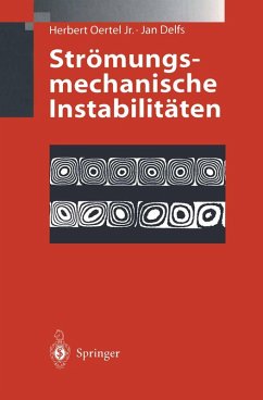 Cover Strömungsmechanische Instabilitäten (eBook, PDF)