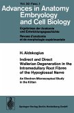 Indirect and Direct Wallerian Degeneration in the Intramedullary Root Fibres of the Hypoglossal Nerve (eBook, PDF)