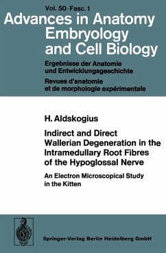 Indirect and Direct Wallerian Degeneration in the Intramedullary Root Fibres of the Hypoglossal Nerve (eBook, PDF) - Aldskogius, H.
