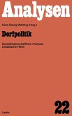 Dorfpolitik (eBook, PDF)