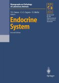 Endocrine System (eBook, PDF)