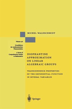 Diophantine Approximation on Linear Algebraic Groups (eBook, PDF) - Waldschmidt, Michel