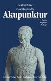 Grundlagen der Akupunktur (eBook, PDF)