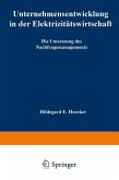 Unternehmensentwicklung in der Elektrizitätswirtschaft (eBook, PDF)