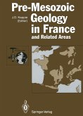 Pre-Mesozoic Geology in France and Related Areas (eBook, PDF)