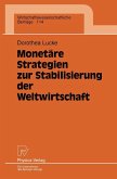 Monetäre Strategien zur Stabilisierung der Weltwirtschaft (eBook, PDF)