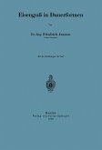 Eisenguß in Dauerformen (eBook, PDF)
