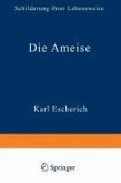 Die Ameise (eBook, PDF)