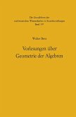 Vorlesungen über Geometrie der Algebren (eBook, PDF)