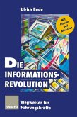 Die Informationsrevolution (eBook, PDF)