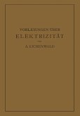 Vorlesungen über Elektrizität (eBook, PDF)