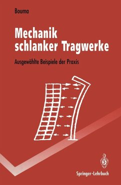 Mechanik schlanker Tragwerke (eBook, PDF) - Bouma, Adolf L.