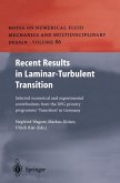Recent Results in Laminar-Turbulent Transition (eBook, PDF)