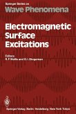 Electromagnetic Surface Excitations (eBook, PDF)