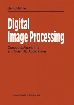 Digital Image Processing (eBook, PDF) - Jähne, Bernd