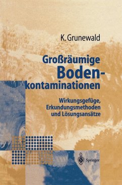 Großräumige Bodenkontaminationen (eBook, PDF) - Grunewald, Karsten