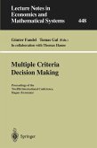 Multiple Criteria Decision Making (eBook, PDF)