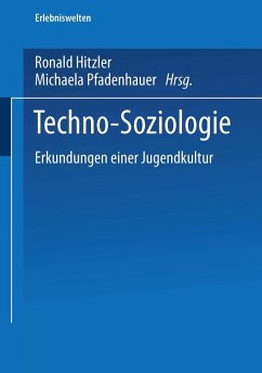 Techno-Soziologie (eBook, PDF)