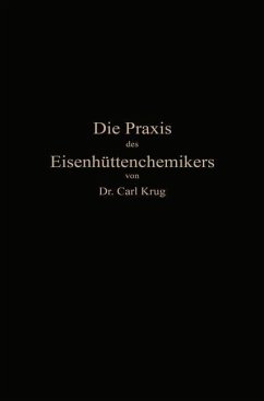 Cover Die Praxis des Eisenhüttenchemikers (eBook, PDF)