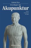Grundlagen der Akupunktur (eBook, PDF)