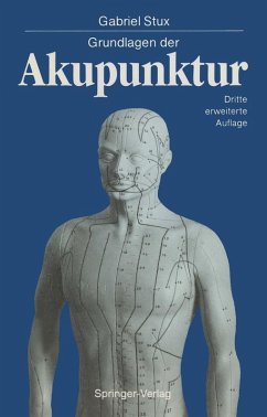 Grundlagen der Akupunktur (eBook, PDF) - Stux, Gabriel