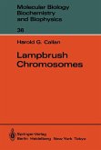 Lampbrush Chromosomes (eBook, PDF)