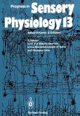 Ionic and Volume Changes in the Microenvironment of Nerve and Receptor Cells (eBook, PDF)