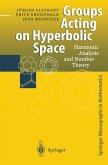 Groups Acting on Hyperbolic Space (eBook, PDF)