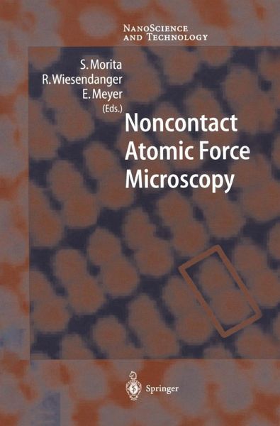 Noncontact Atomic Force Microscopy (eBook, PDF)