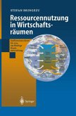 Ressourcennutzung in Wirtschaftsräumen (eBook, PDF)