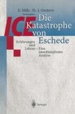 Die ICE-Katastrophe von Eschede (eBook, PDF)