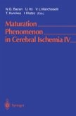 Maturation Phenomenon in Cerebral Ischemia IV (eBook, PDF)