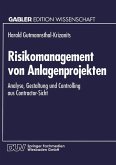 Risikomanagement von Anlagenprojekten (eBook, PDF)