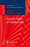 Acoustic Control of Turbulent Jets (eBook, PDF)