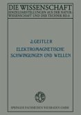 Elektromagnetische Schwingungen und Wellen (eBook, PDF)