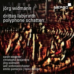 Polyphone Schatten/Drittes Labyrinth - Wegener/Desjardins/Widmann/Holliger/Wdr So/+