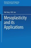 Mesoplasticity and its Applications (eBook, PDF)