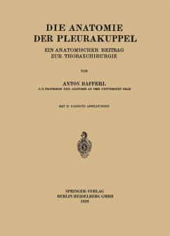 Die Anatomie der Pleurakuppel (eBook, PDF) - Hafferl, Anton