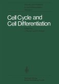 Cell Cycle and Cell Differentiation (eBook, PDF)