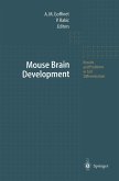 Mouse Brain Development (eBook, PDF)