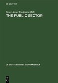 The Public Sector (eBook, PDF)