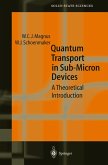 Quantum Transport in Submicron Devices (eBook, PDF)