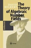 The Theory of Algebraic Number Fields (eBook, PDF)