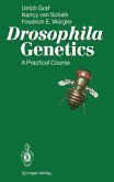 Drosophila Genetics (eBook, PDF)