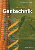 Grundzüge der Gentechnik (eBook, PDF)