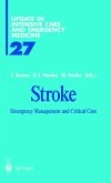 Stroke (eBook, PDF)