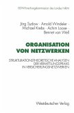 Organisation von Netzwerken (eBook, PDF)