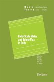 Field-Scale Water and Solute Flux in Soils (eBook, PDF)