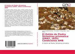 El Ostión de Piedra Striostrea prismatica (GRAY, 1825) Condiciones AMB - Rendón Martínez, Luis A.;Ortega-Salas, Armando A.;Nieves, Mario
