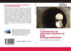 Tratamiento de efluentes líquidos de baja biodegradabilidad - Vitale, Paula